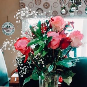 Meet your Posher, Lindsey